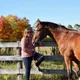 Whitney profile