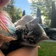 Maddie profile