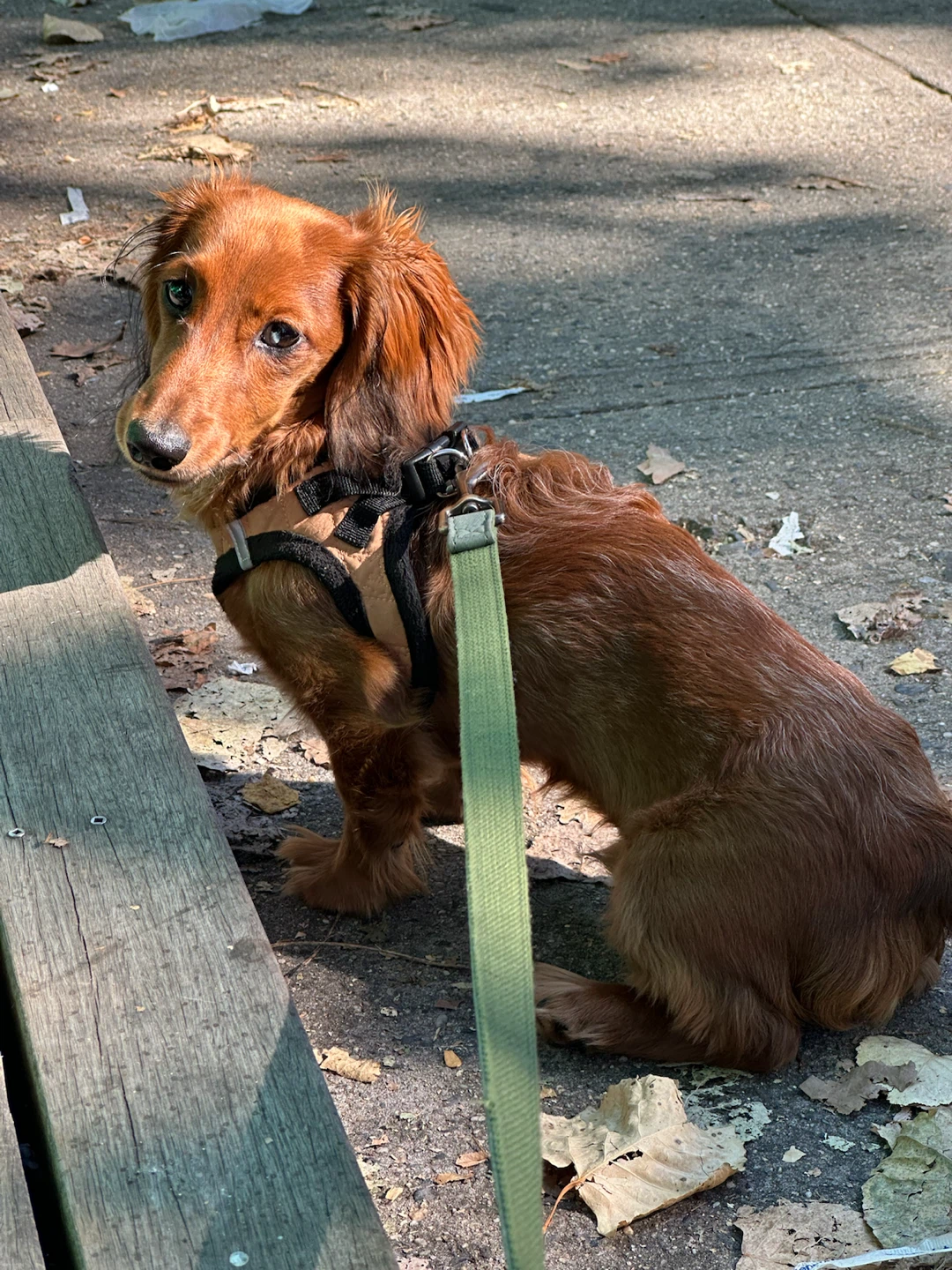 Aubrey profile