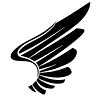 Wing CL profile