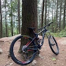Jaycen Allen profile