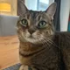 Mon profile