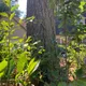 Alton profile