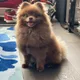 Calvin profile