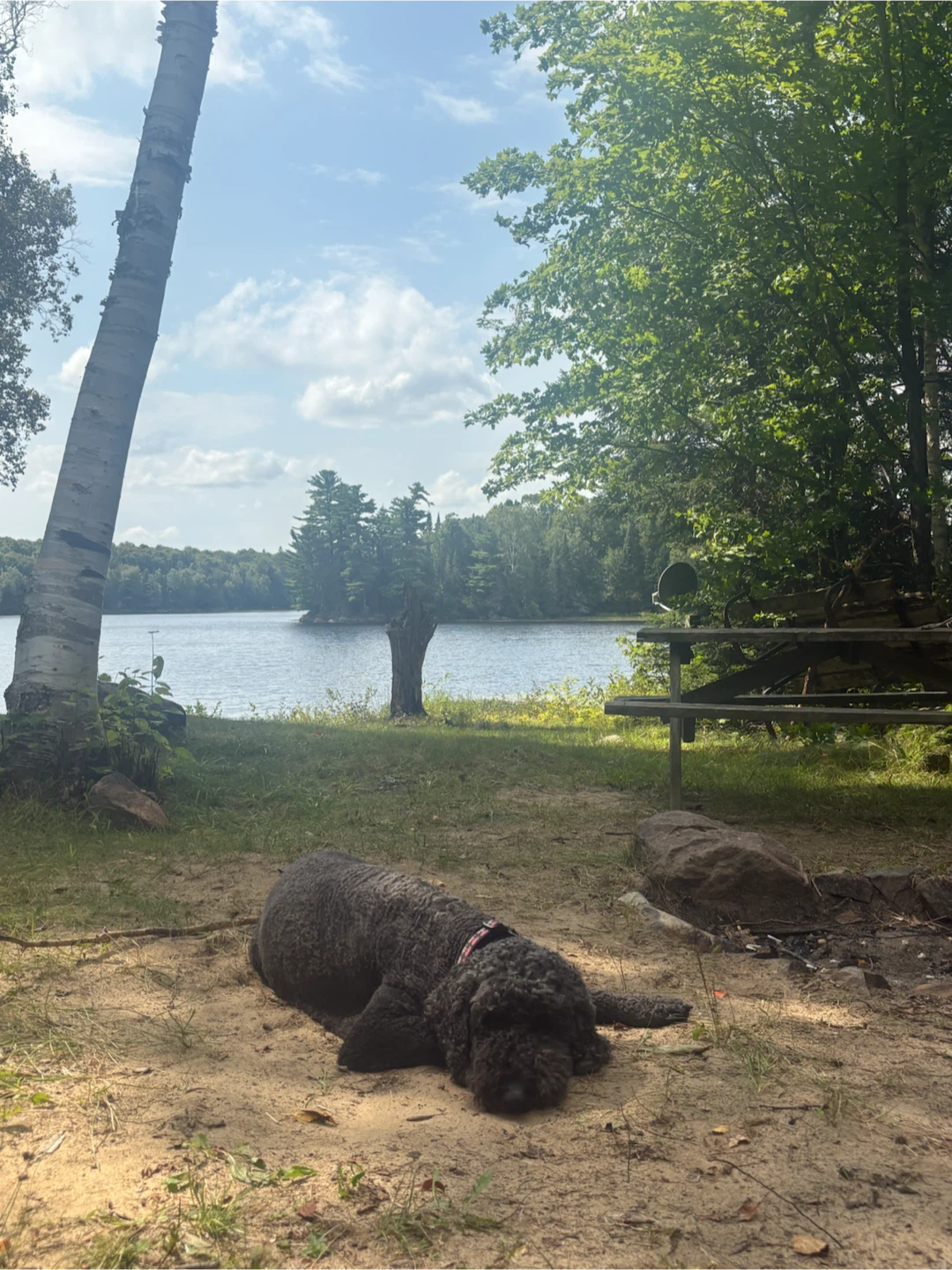 Jeremy