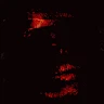 Jawad Chehadeh profile