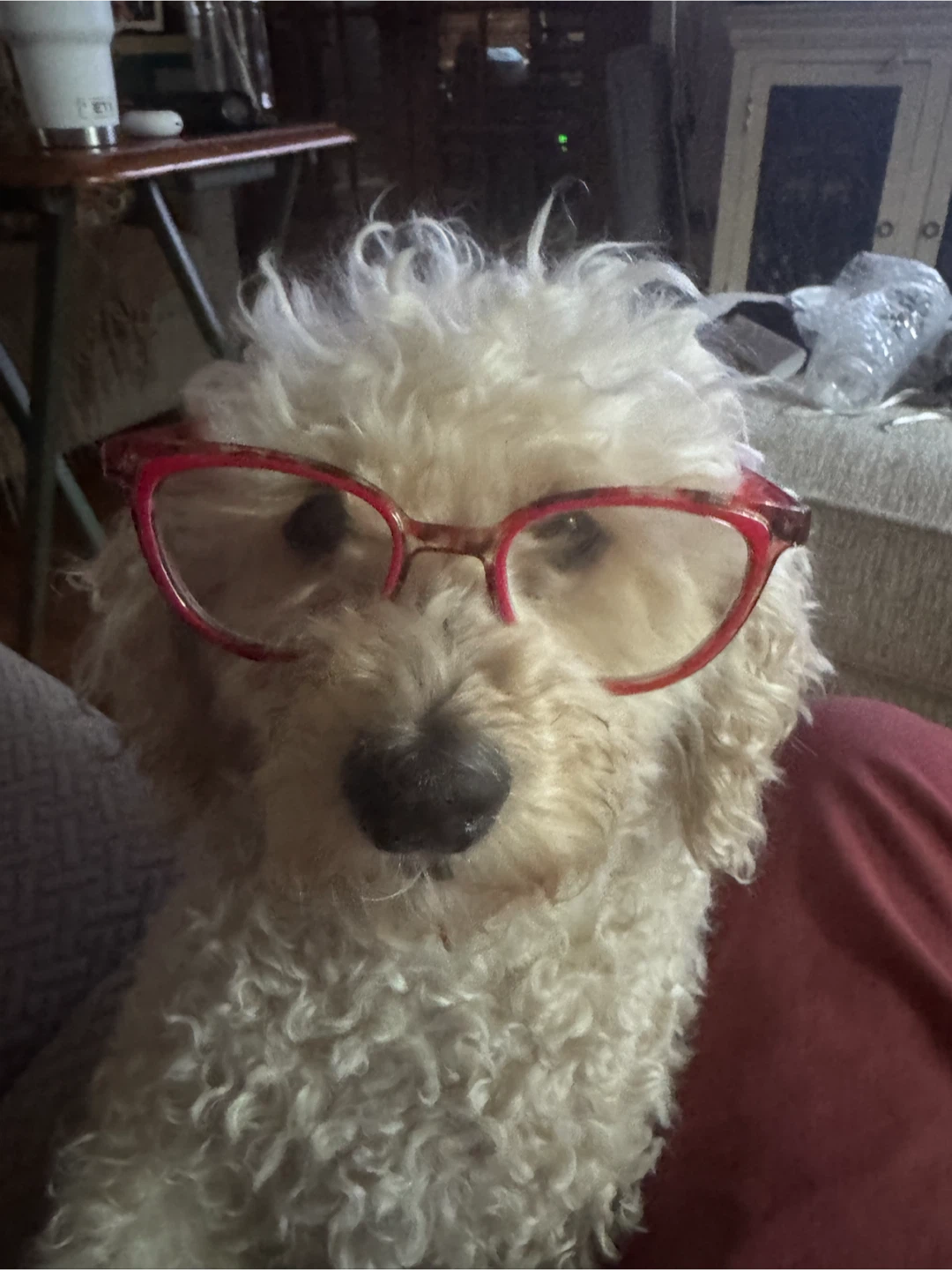Raul profile