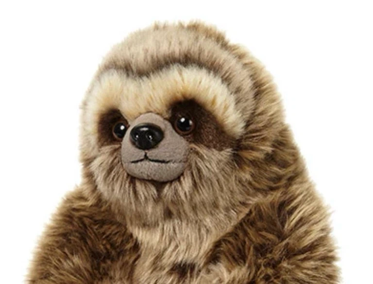Slothy profile