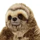 Slothy profile