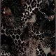 Cass profile