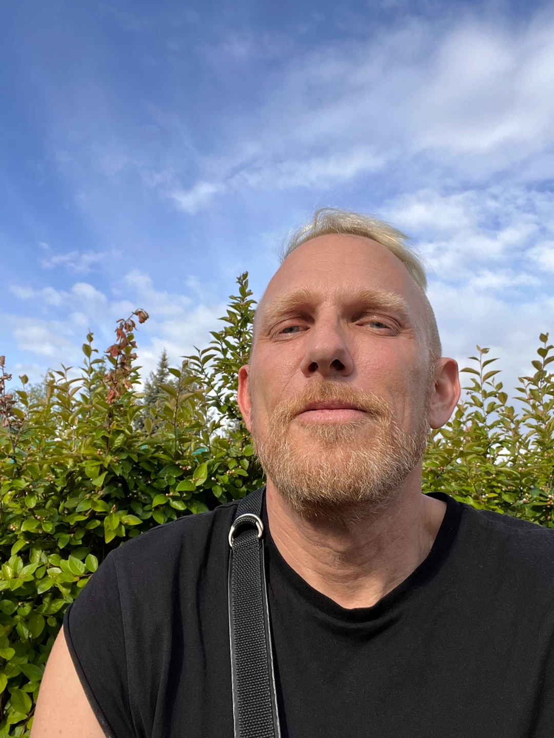 Brett profile