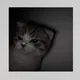 HA profile