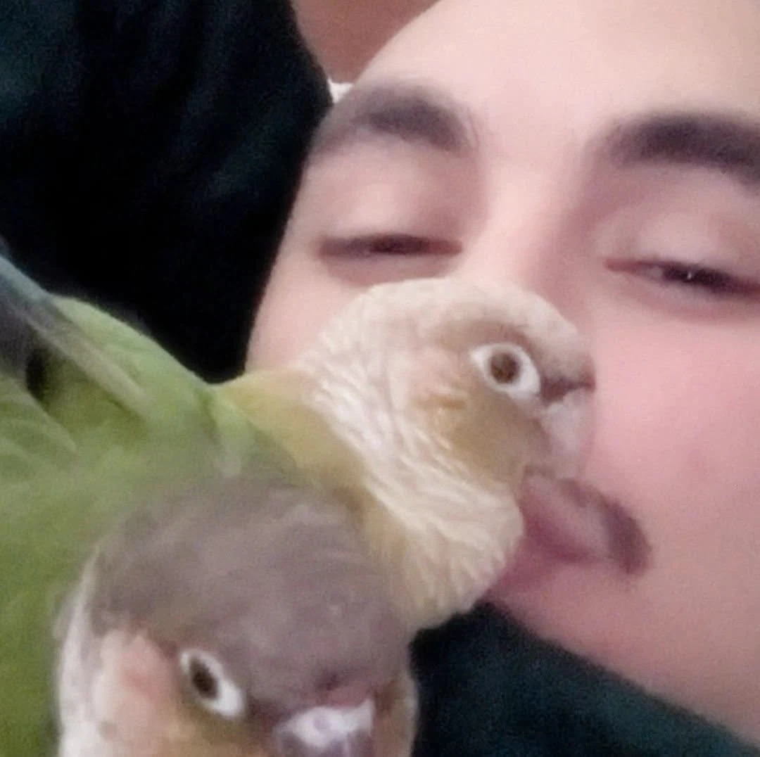 Mehdi profile