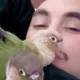 Mehdi profile