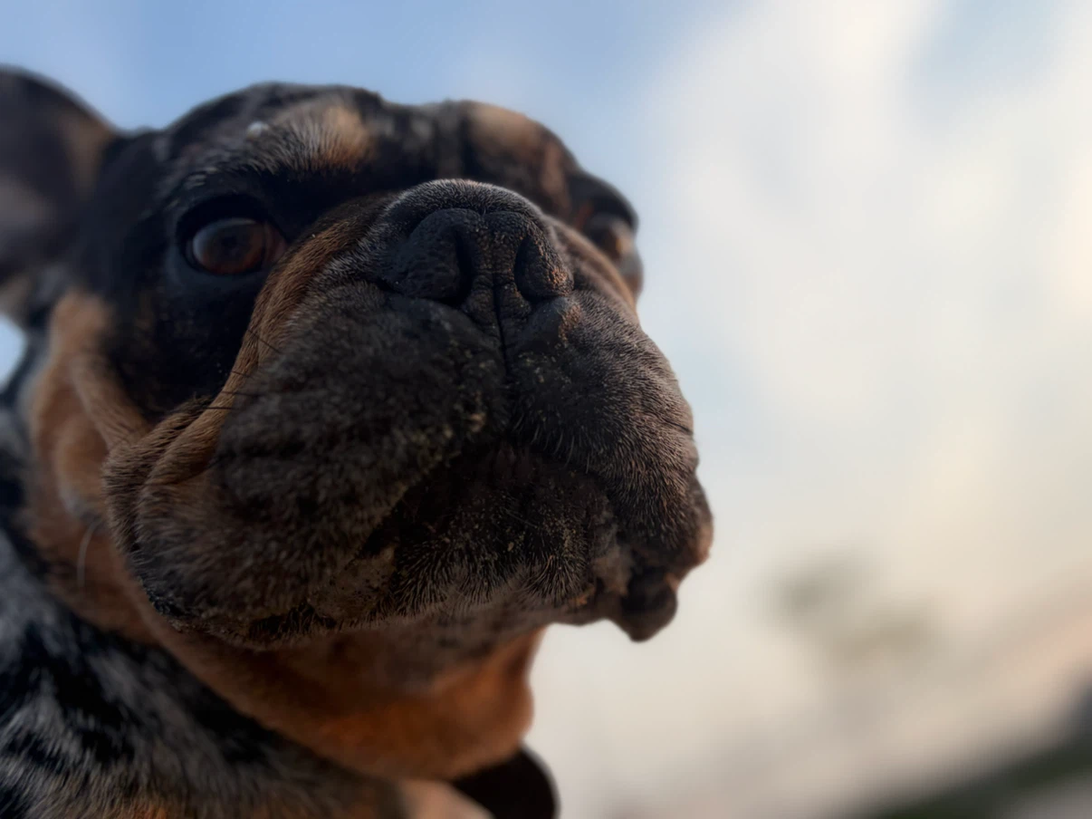 Ostap profile