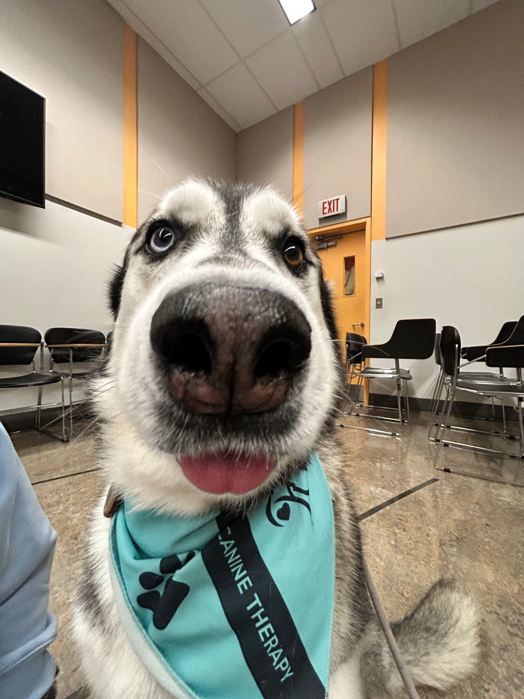 Elliot profile