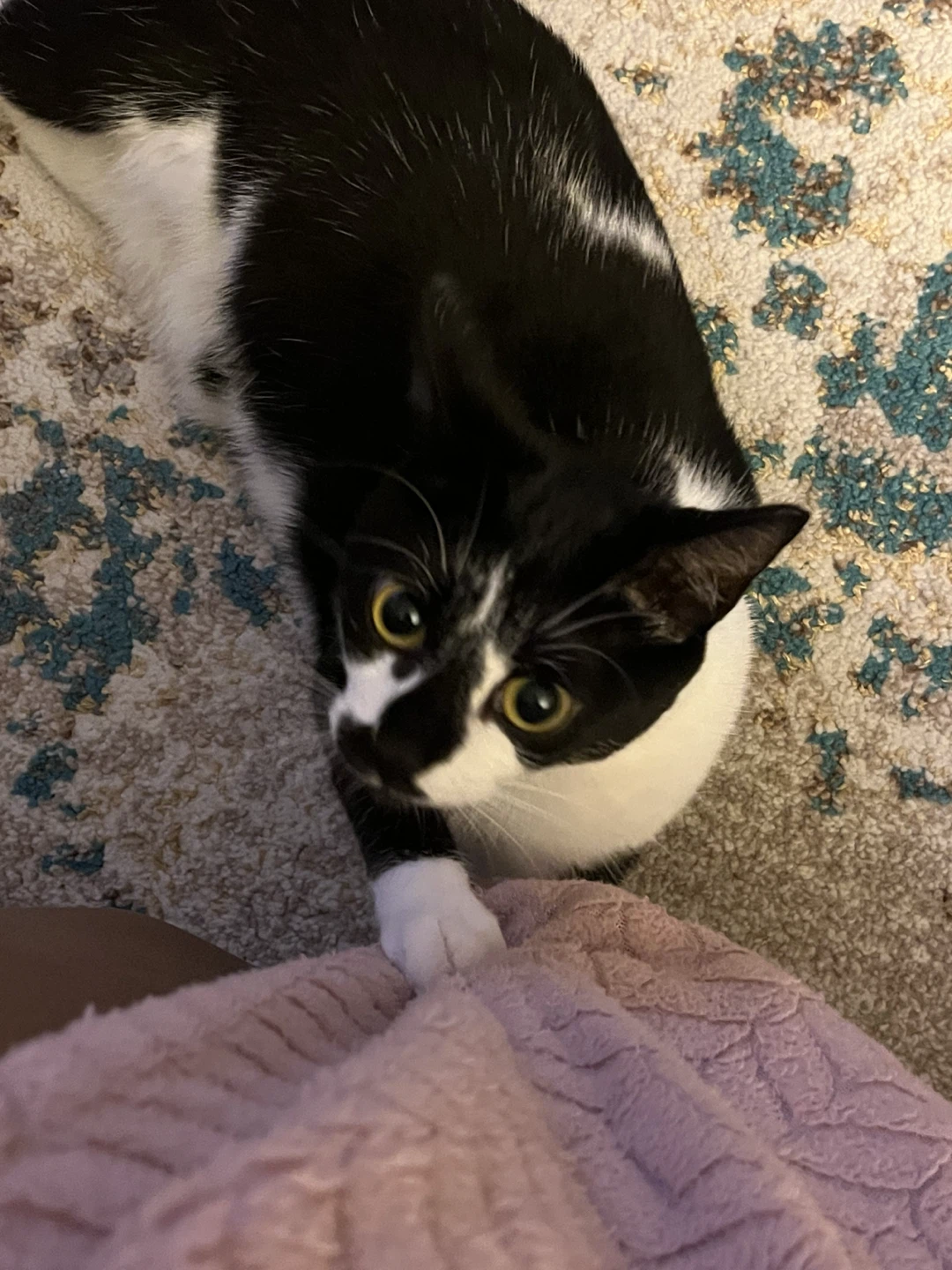 Bryce Lee profile