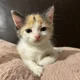 Fatima profile