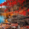 Farid