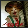 Drunk Kitty profile