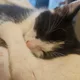 Tony profile