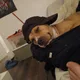 Mitch Bureau profile