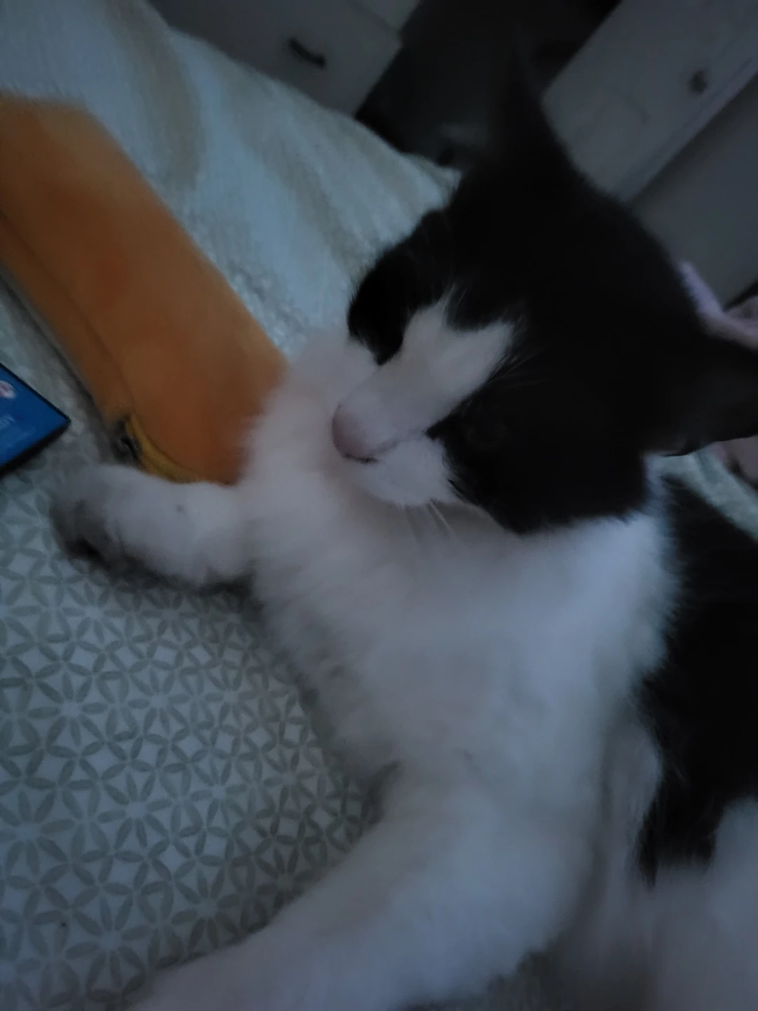 Tara profile
