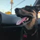 Becca profile