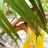 Daisy Hsieh profile