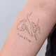 Su Choi profile