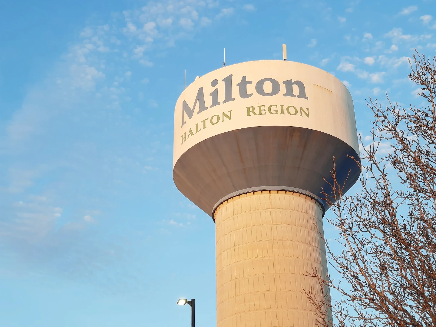 MiltonResellz profile