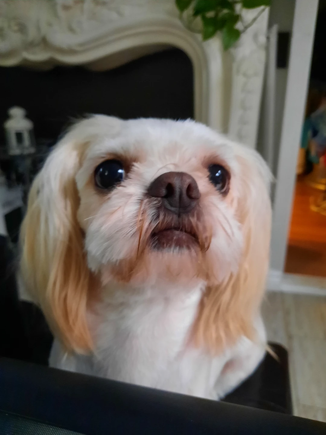 Tom profile