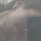 Josh profile