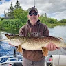 Gord Lewis profile