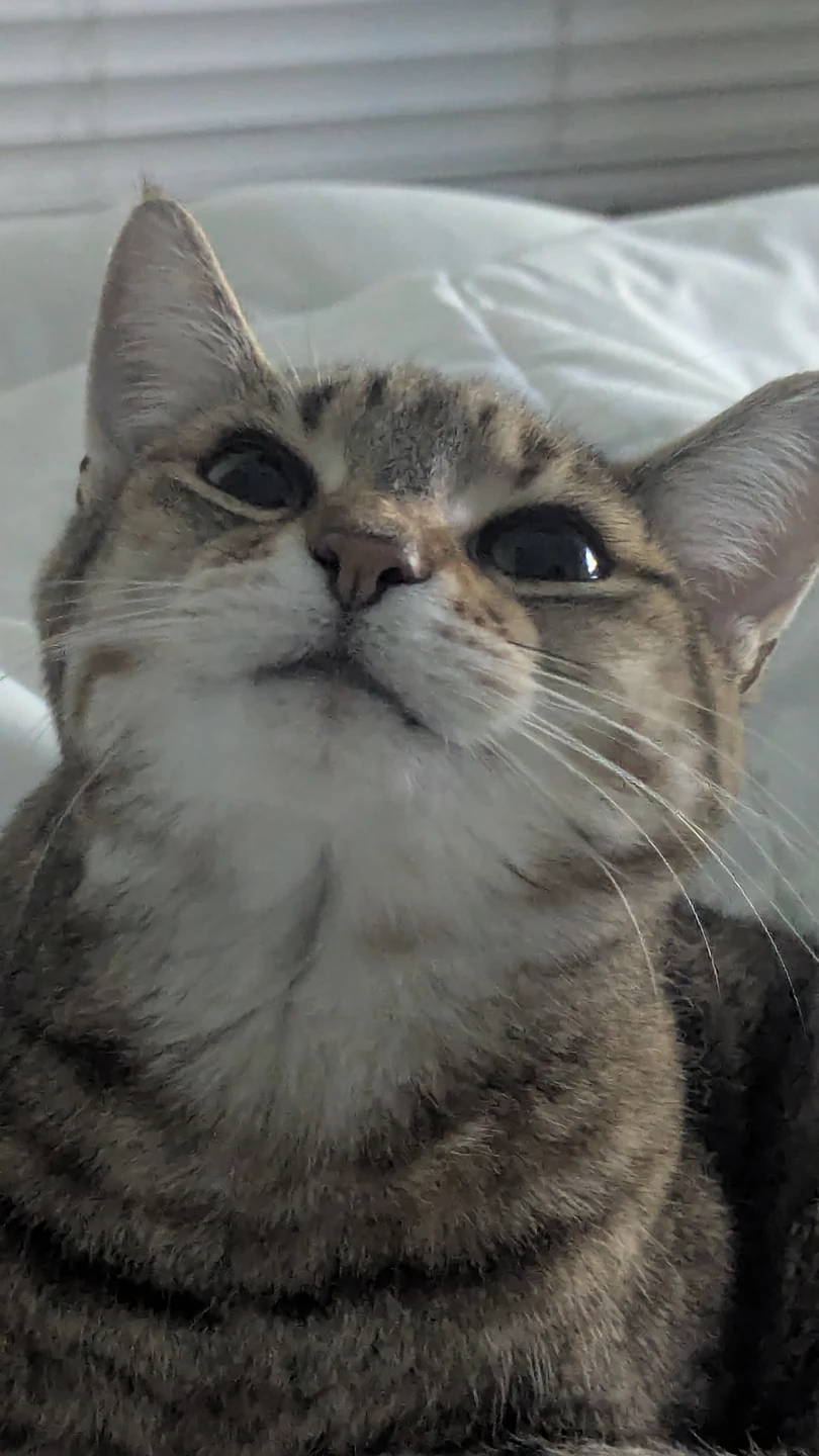 christa profile
