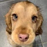 lenny profile
