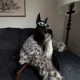 Adry profile