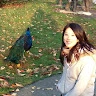 Jasmine Hu profile