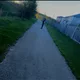 Harrison Drime profile