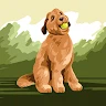 Happy life profile