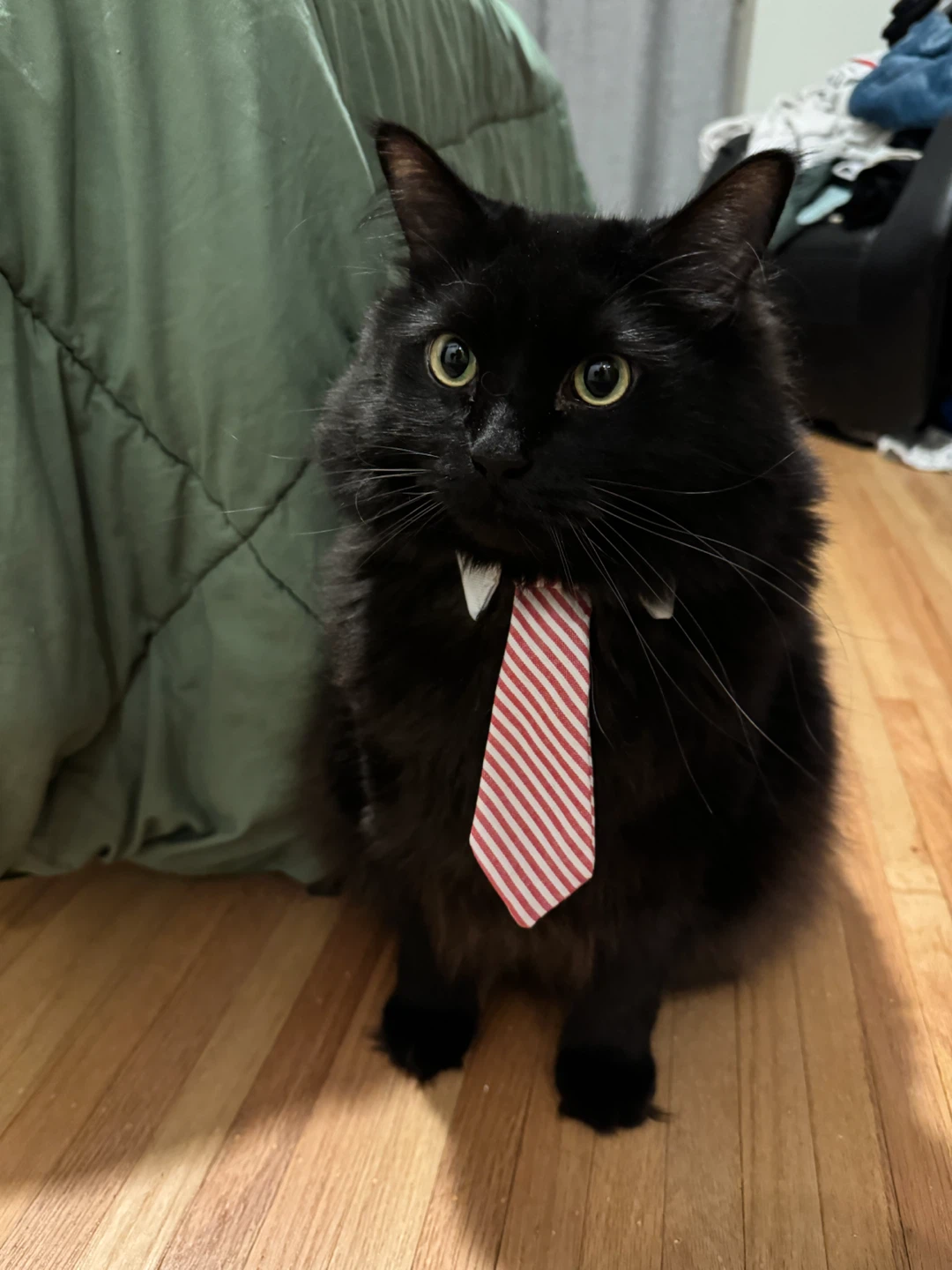 Dennis