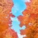 Sarah profile