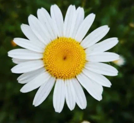 Sydneysstore profile