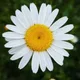 Sydneysstore profile