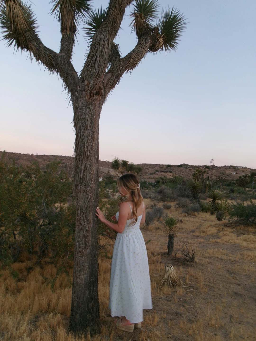 Sophia profile