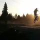 matt profile