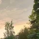 Moamen Bahlol profile