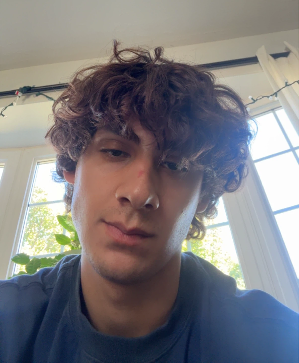 Sean profile