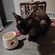 Kat profile