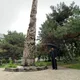 Eli profile